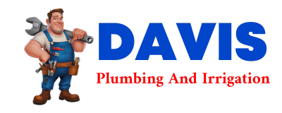 Trusted plumber in RAMER